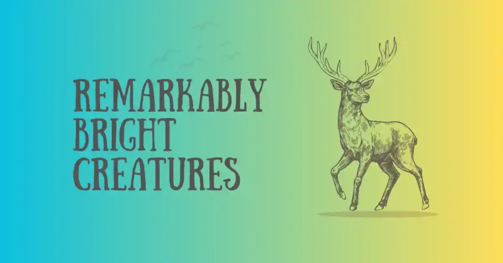 Remarkably-Bright-Creatures